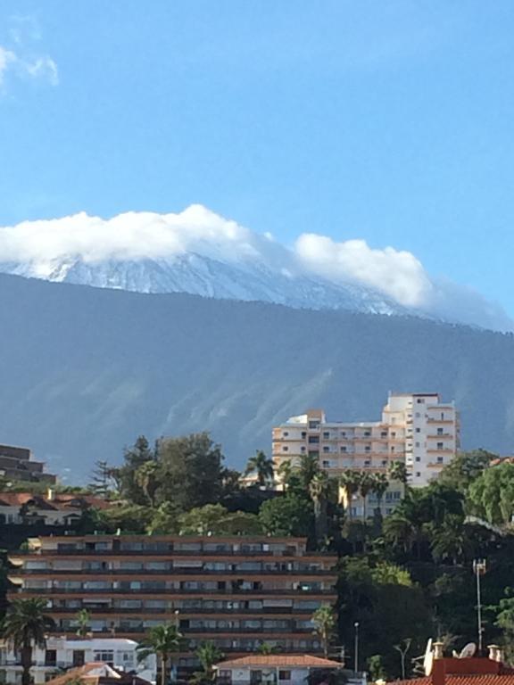 La Perla Daire Puerto de la Cruz  Oda fotoğraf